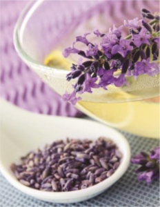 lavendar-extract