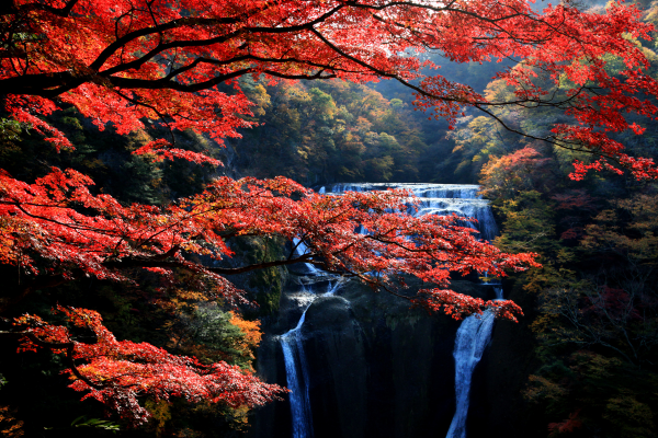Fall season in nature in Japan